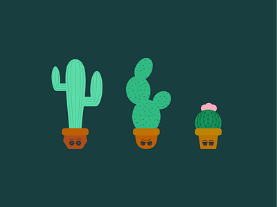 Cool Cacti