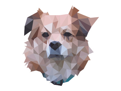 Ollie animal dog geometric illustration triangle vector