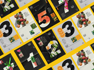 Numbers and fruits series