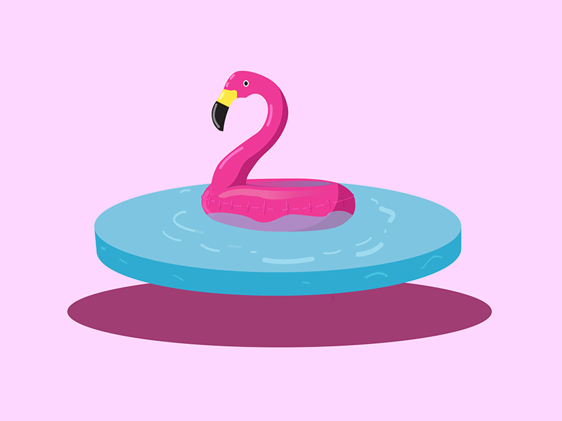 Flamingo aftereffects animation art bulgaria design flamingo float graphic illustration pink pool vector water