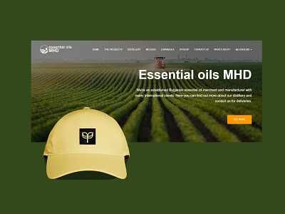 Essentialoil MHD web branding bulgaria design essential oil graphic graphic art green illustration logo mock up mockup nature photoshop symbol vector web design webdesign