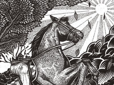 Edward Lear Illustration Three hand drawn horse illustration monochrome