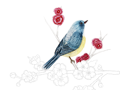 Little Watercolor Bird illustration nature watercolour