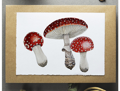 Watercolor Mushrooms Fly Agaric art illustration nature postcard watercolour