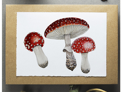 Watercolor Mushrooms Fly Agaric art illustration nature postcard watercolour