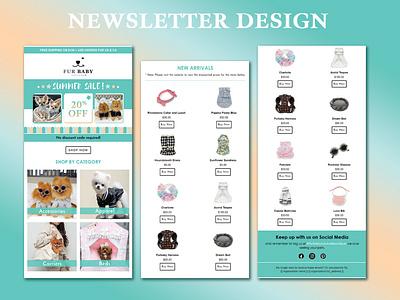 Email Newsletter Design