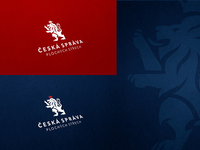 Logo & Branding / ČESKÁ SPRÁVA PLOCHÝCH STŘECH