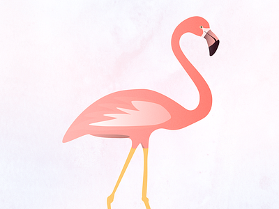 Pink Flamingo birds flamingo flamingos graphic art illustrator