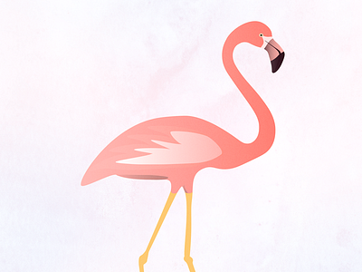 Pink Flamingo