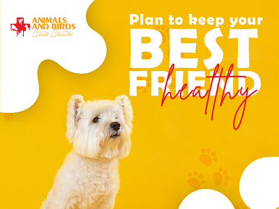 Plan to keep your Best Friend Healthy branding design illustration logo typography vector