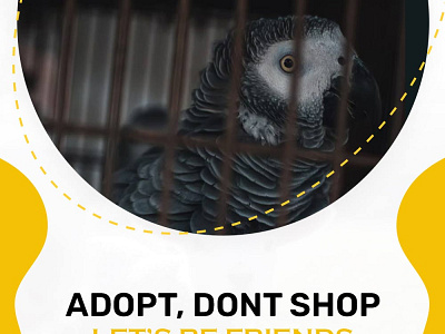 Adopt, Don't shop let's be Friends