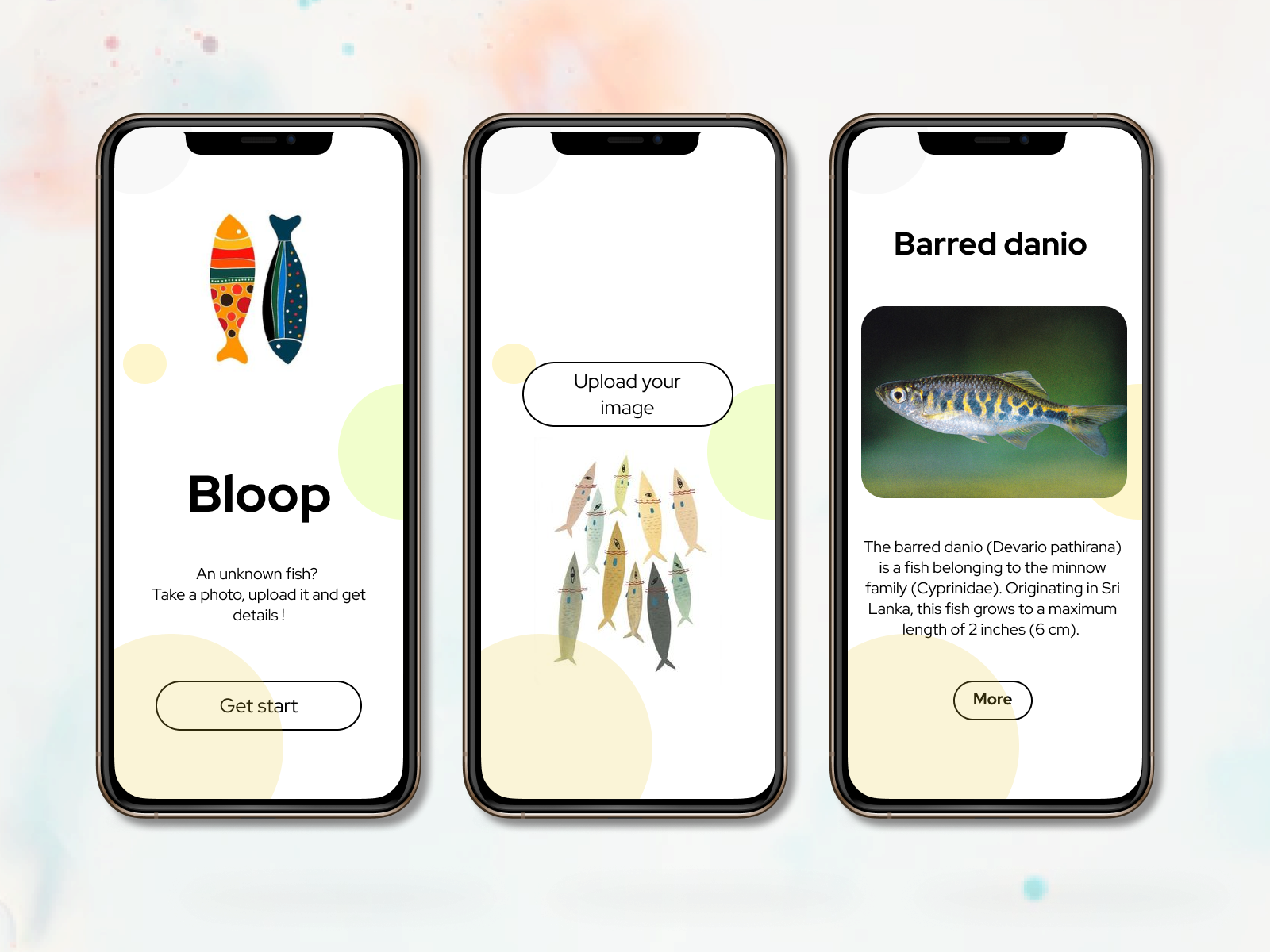 UI designs for fish identification app by Supun Shashini on Dribbble