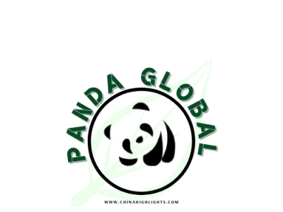 Panda Global (Canva) by Kristina on Dribbble