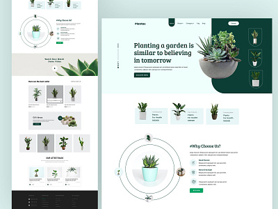 Plant shop website design. agency business cleaning company corporate design