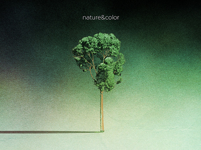 nature&color bailey color dan halfheart mcpharlin media nature zindel