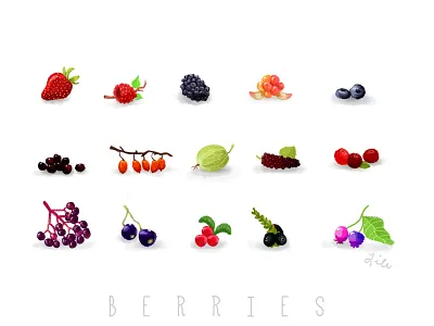 Berries berries collection digital painting foods fruits photoshop