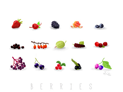 Berries berries collection digital painting foods fruits photoshop