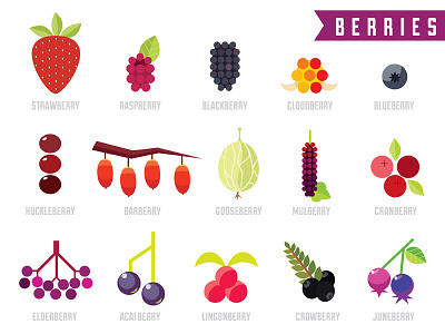 Vector Berries berries flat food fruit graphic design raspberry strawberry vector