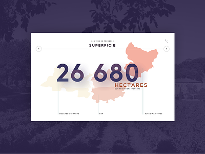 Vins de Provence - Infographics carousel french home page illustration infographics provence siteweb slider ui ux web wine