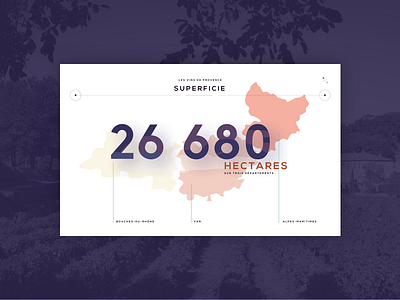 Vins de Provence - Infographics