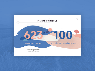 Vins de Provence - Infographics