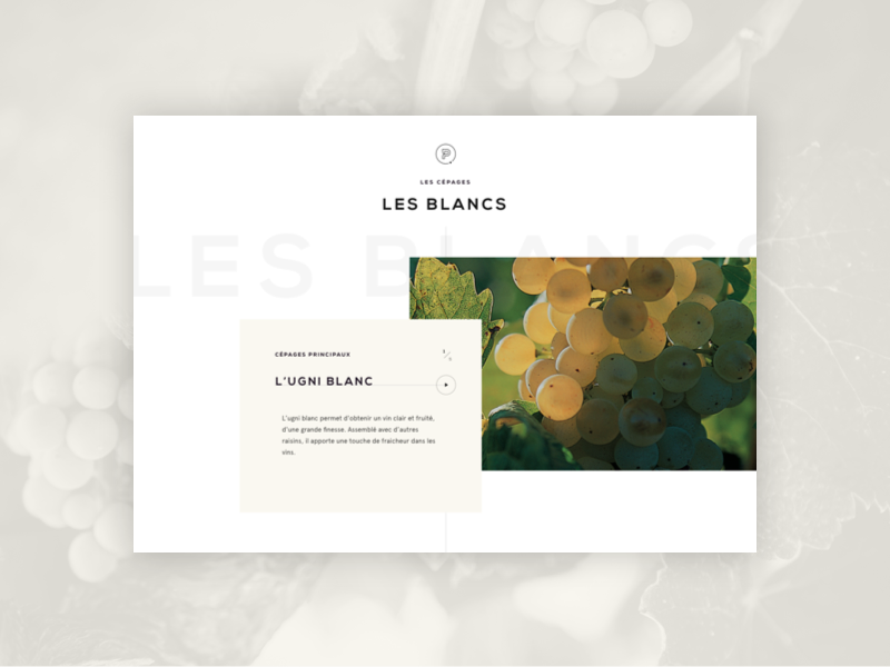 Vins de Provence - Detail Page grape provence ux ui carousel french wine slider home page siteweb web