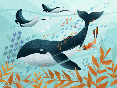 The Ocean Blue Illustration