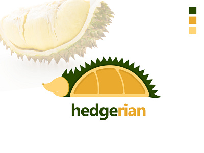 Hedgerian a.k.a Hedgehog and Durian fusion Logo animal branding clean cleaning design durian fruit graphic design hedgehog logo logodesign modern