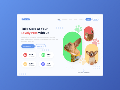 Ingon Pet Care Website Design 😺 app cat design dog pet petcare ui ux webdesign