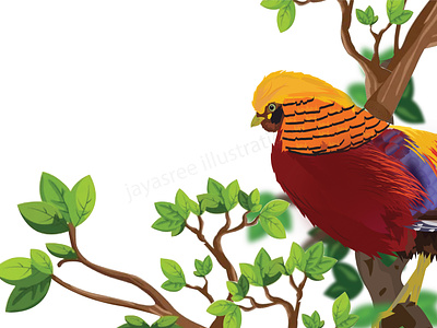 Golden Pheasant ( Chrysolophus pictus ) adobe illustrator design digital illustration digitalart graphic design illustration illustrator work working space
