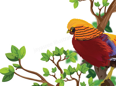 Golden Pheasant ( Chrysolophus pictus ) adobe illustrator design digital illustration digitalart graphic design illustration illustrator work working space