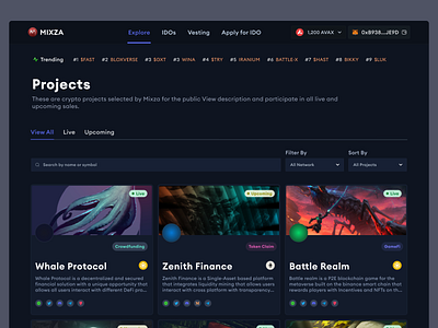 Mixza Launchpad: Project Interface