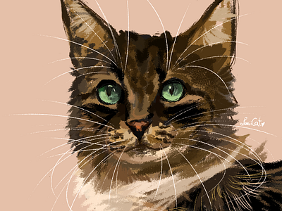 Portrait of my beloved cat drawing illustration photoshop