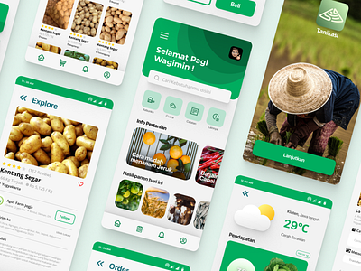Farm Marketplace App - Tanikasi app graphic design ui ux