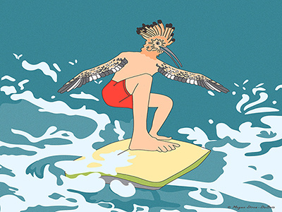 Surferbird bird people character design surfer