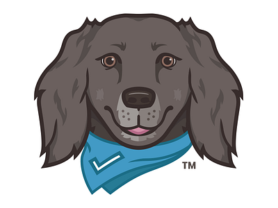 Retired mascot logo for Mavenly adproval dog foxio future man mascot mavenly