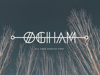 Ogham Display Font alphabet display font font font design logo ogham trees type design typeface typography wood