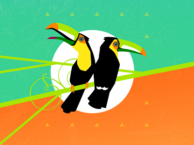 Tropical Toucans