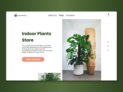 Indoor Plants Store design concept design figma figma design figmadesign first screen landing minimal web web design website