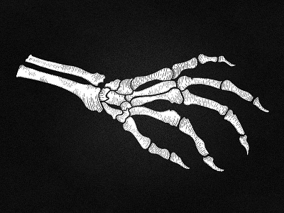 Dead Hand Detail black dead hand illustration skeleton white