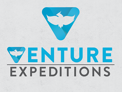 Venture Logo Revisited do expeditions good logo nonprofit phoenix revisit venture ventureexpeditions wip