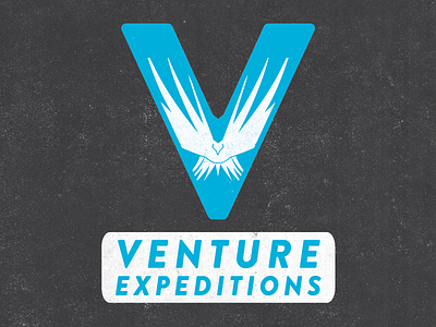Getting somewhere... bird branding logo phoenix rebrand texture v venture ventureexpeditions wings