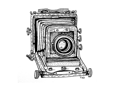 Large Format Camera ansel adams camera drawing illustration ink photography vintage whimsical