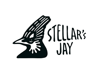 Stellar’s Jay bird drawing graphic illustration lettering logo tahoe