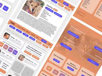 Animal shelter/Vet Website Concept