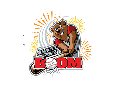 Baseball Logo brand identity design branding design cartoon design design graphics design illustration logo logo design mascot design vector