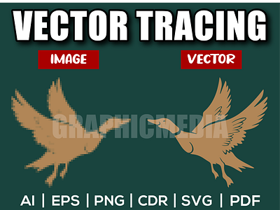 Flying Duck Vector | Image to Vector | Vector Tracing image to vector low resolution redraw vector vector tracing