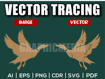 Flying Duck Vector | Image to Vector | Vector Tracing