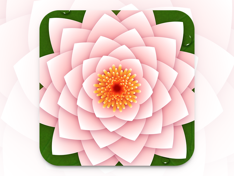 Vectorscribe - by Astute Graphics astute graphics vector illustrator plugin lotus