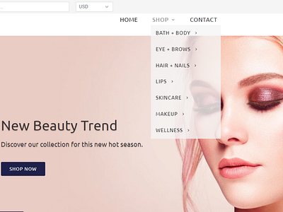 Shopify Dropshipping Health and Beauty Shop dropshipping dropshipping store ecommerce online shop online store shopify shopify store